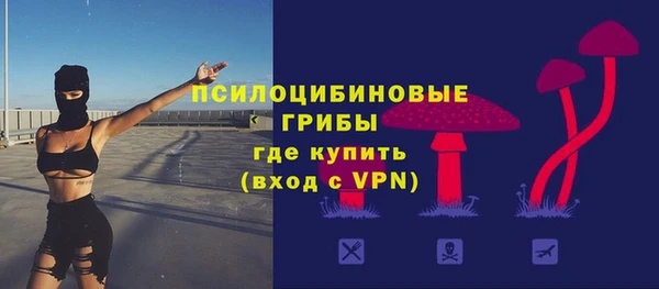 гашик Балахна