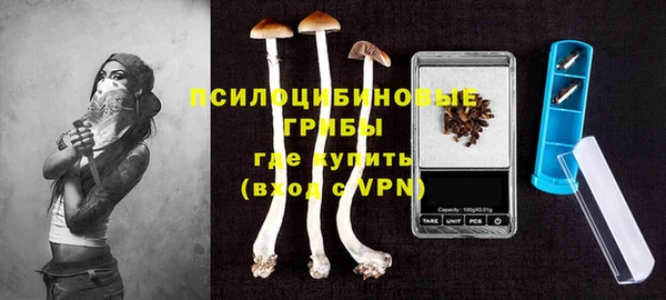 гашик Балахна