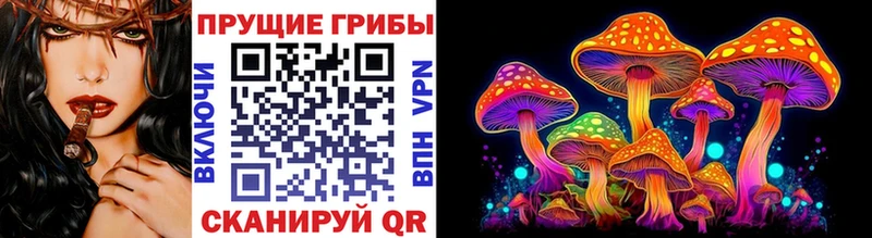 купить наркоту  Омутнинск  Псилоцибиновые грибы прущие грибы 